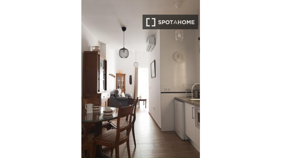 Apartment mono Seville, 60m² — photo 1