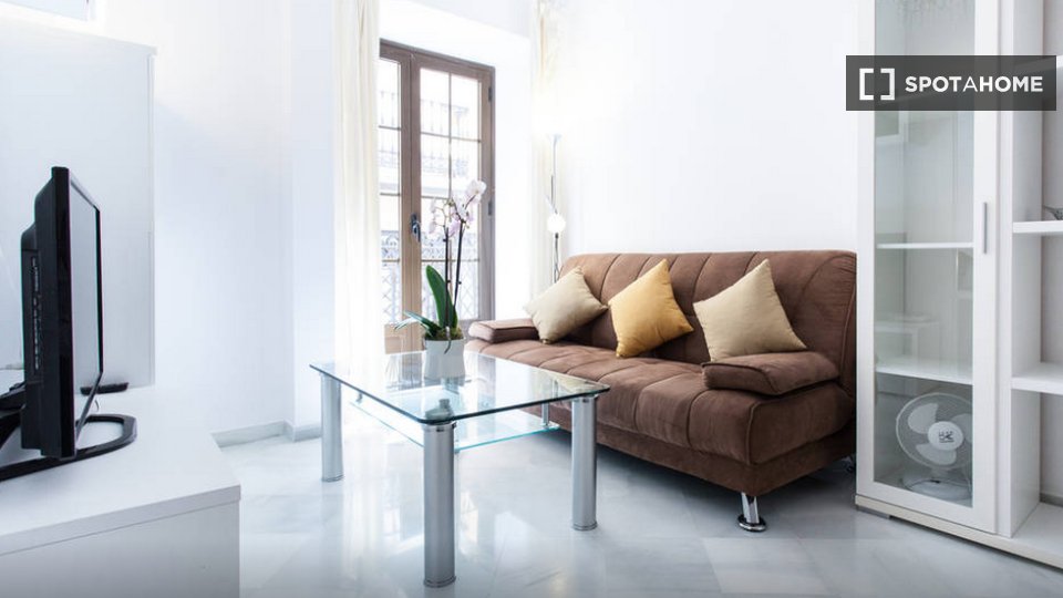 Apartment Seville, 1 bed — photo 38