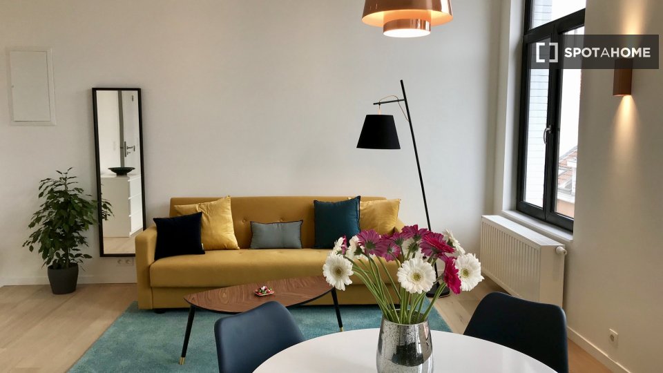 Apartment mono Brussels, 60m² — photo 4