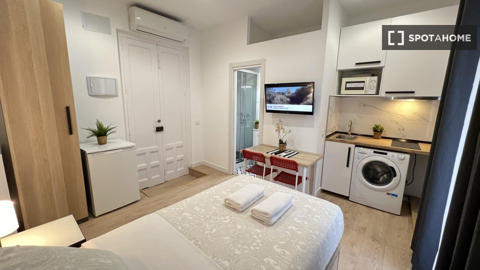 Apartment mono Madrid, 21m² — photo 23