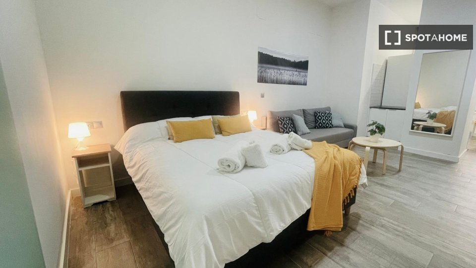 Apartment mono Malaga, 40m² — photo 8