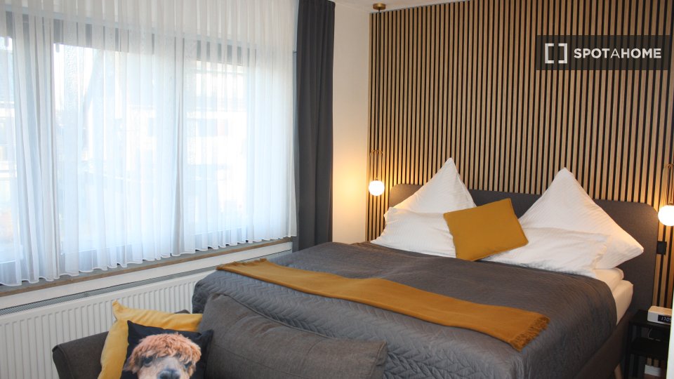 Apartment mono Cologne, 18m² — photo 1
