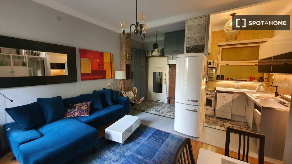 Apartment mono Budapest, 40m² — photo 3