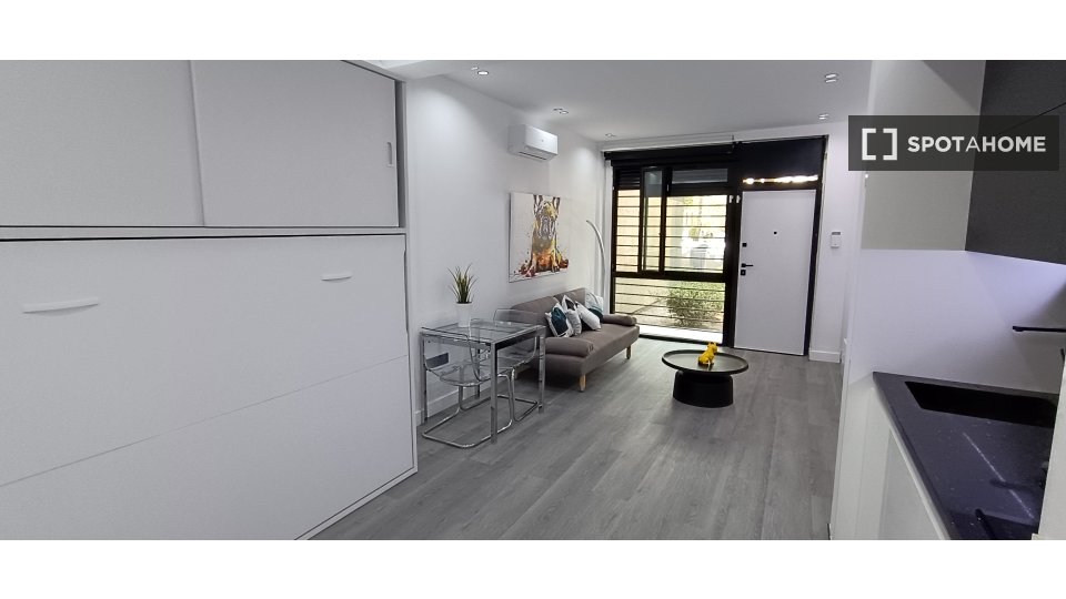 Apartment mono Madrid — photo 14