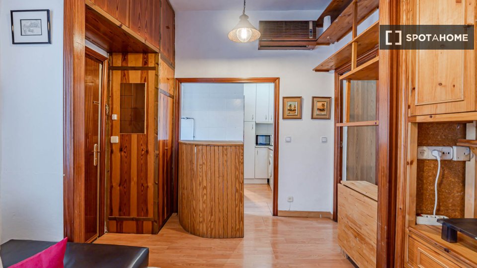 Apartment mono Madrid, 26m² — photo 9