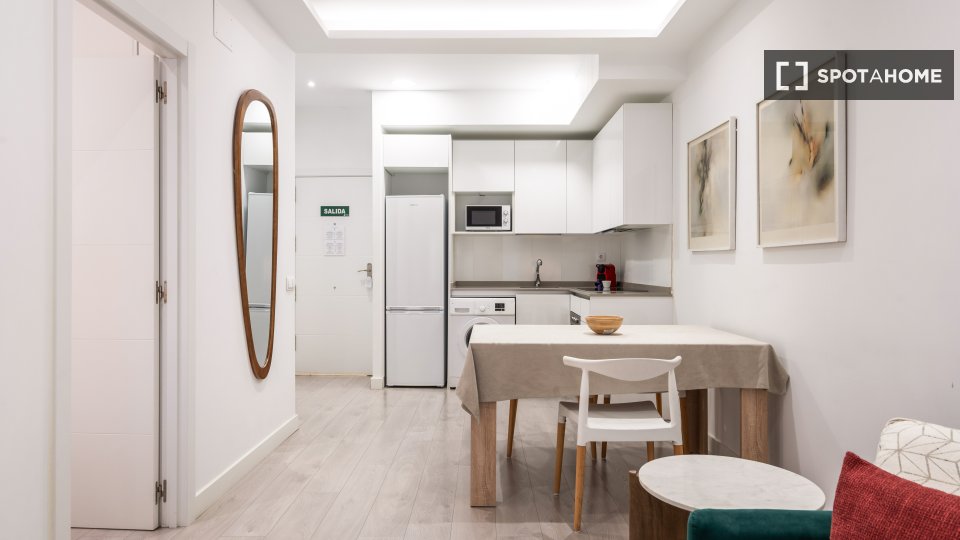Apartment mono Madrid — photo 6