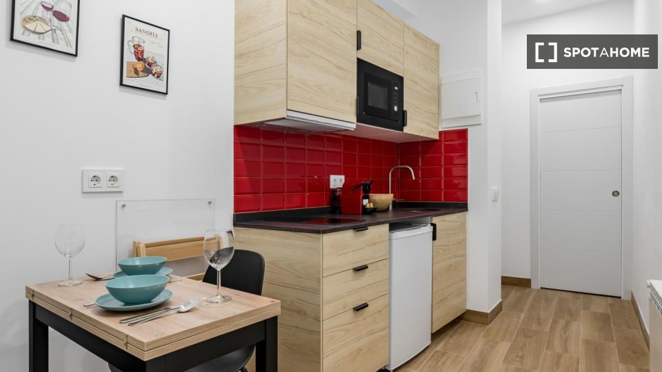 Apartment mono Madrid — photo 13