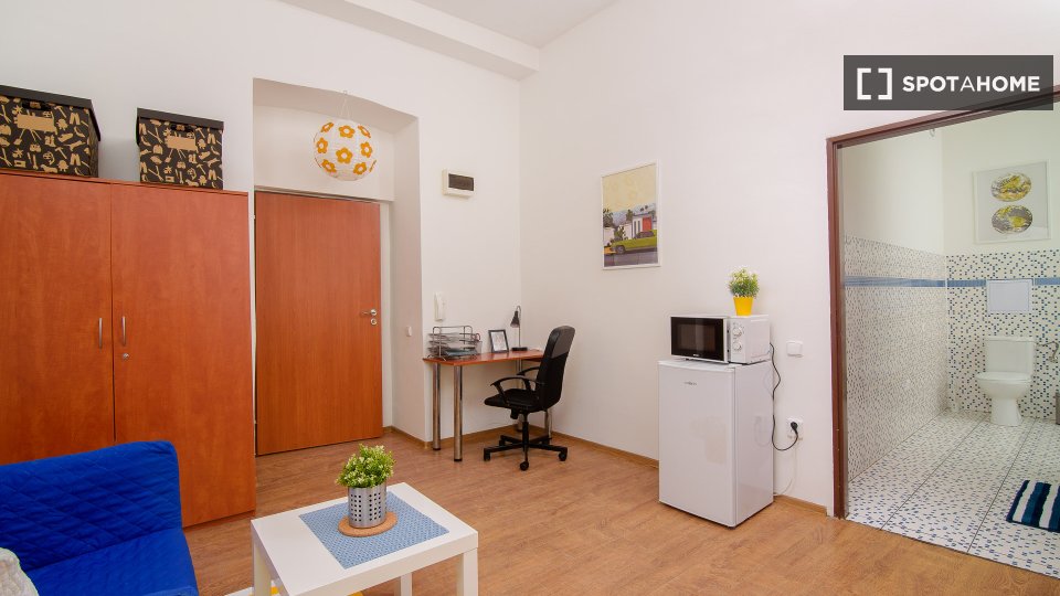Apartment mono Prague, 35m² — photo 6