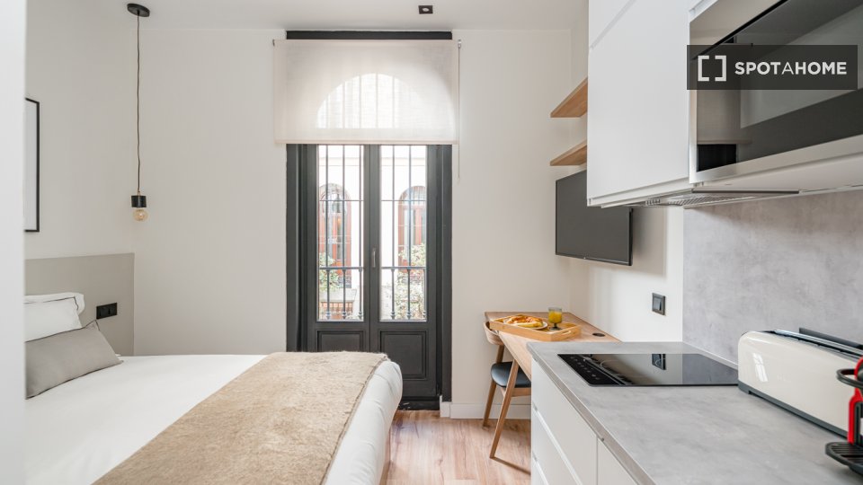 Apartment mono Madrid, 17m² — photo 9