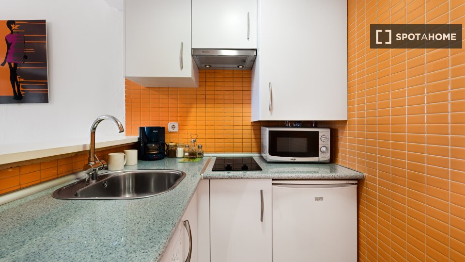 Apartment mono Madrid — photo 11