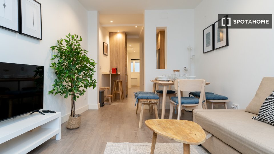 Apartment Madrid, 1 bed — photo 39