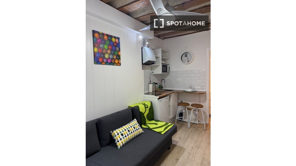 Apartment mono Madrid, 13m² — photo 2