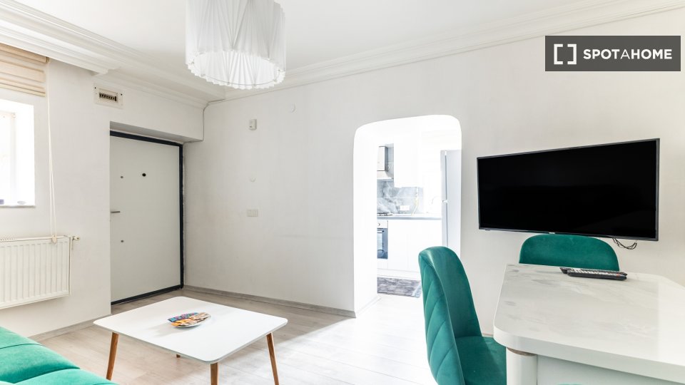 Apartment Istanbul, 1 bed — photo 8