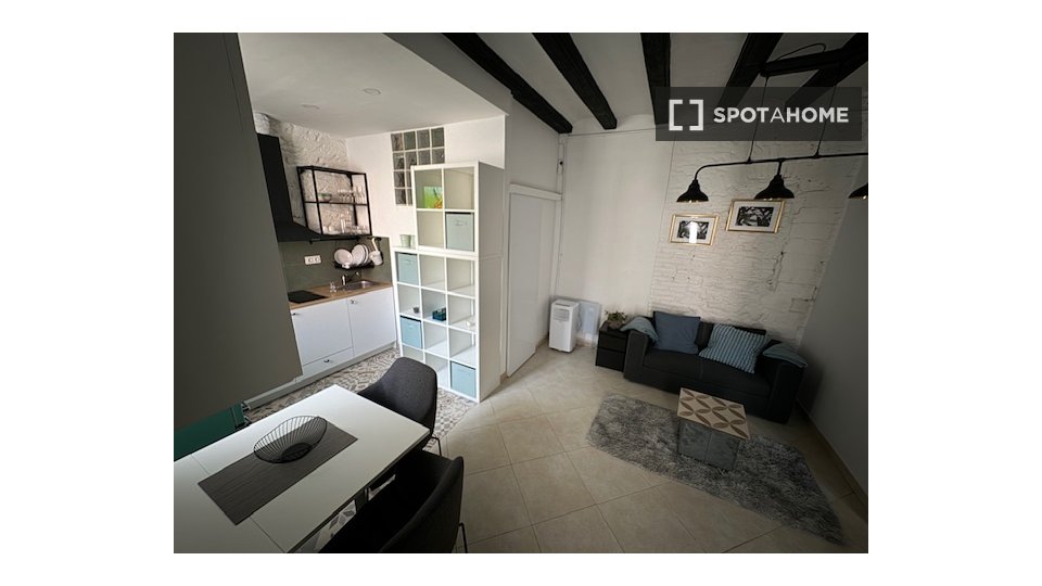 Apartment mono Barcelona, 32m² — photo 6