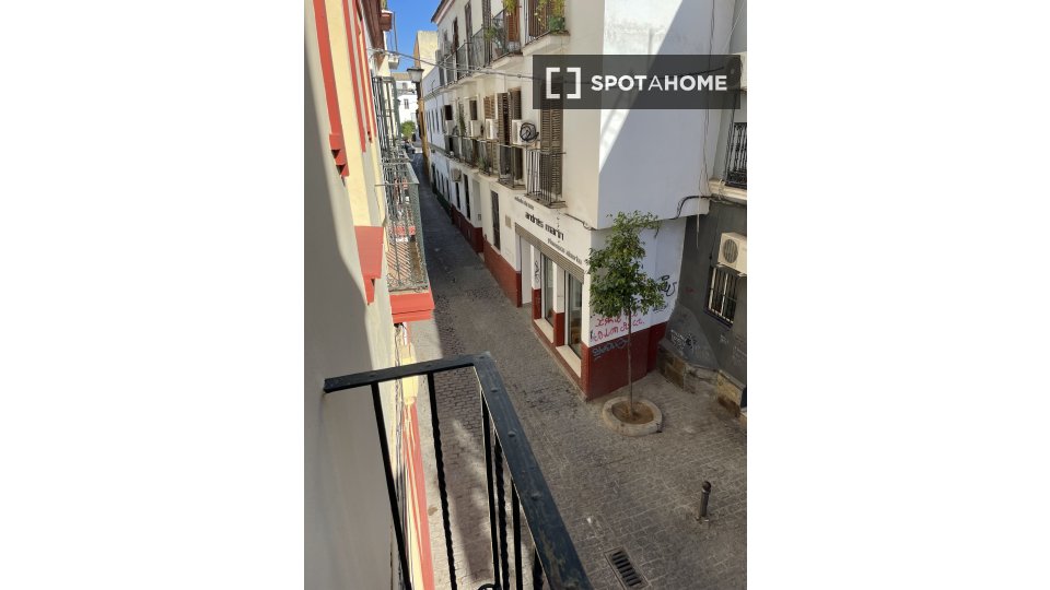 Apartment mono Seville — photo 12
