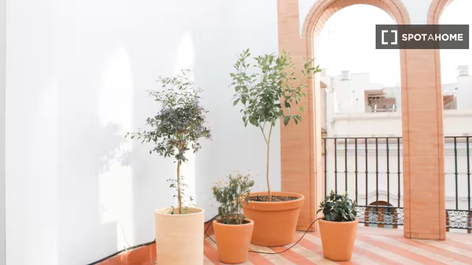 Apartment Seville, 1 bed, 30m² — photo 8