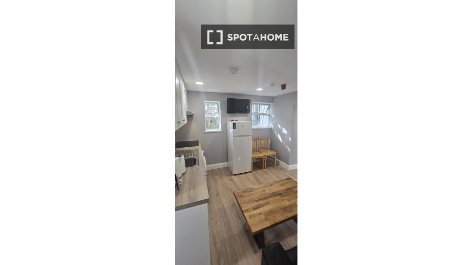 Apartment mono Dublin, 22m² — photo 3