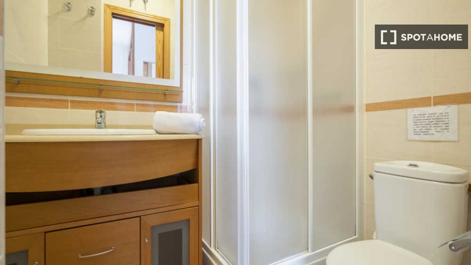 Double room Madrid, 12 beds — photo 63