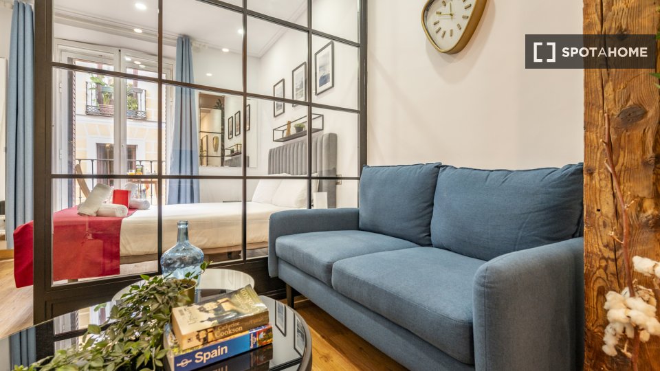 Apartment mono Madrid, 35m² — photo 12