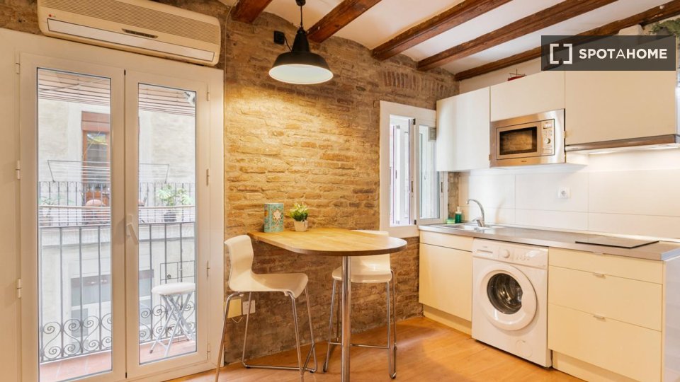 Appartamento con 1 camera da letto in affitto a La Barceloneta - in Barcelona