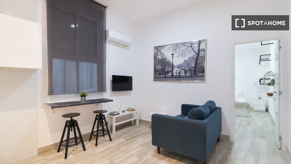 Apartment mono Madrid, 35m² — photo 7
