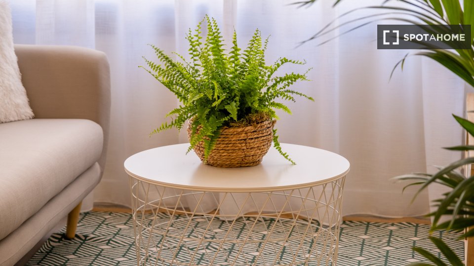 Apartment mono Malaga, 46m² — photo 11