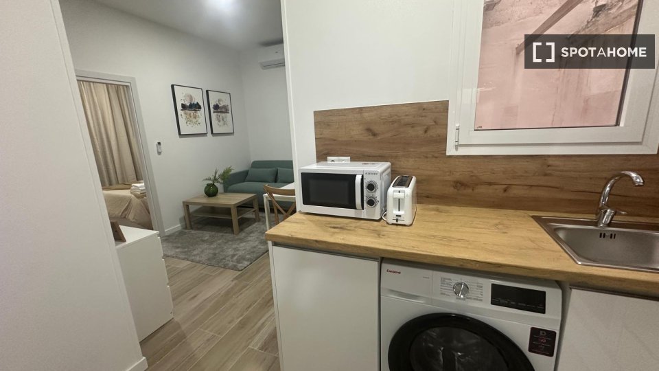 Apartment Madrid, 1 bed — photo 26