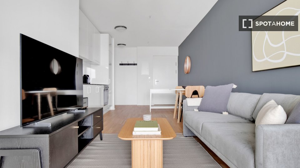 Apartment Vienna, 10 beds, 44m² — photo 4