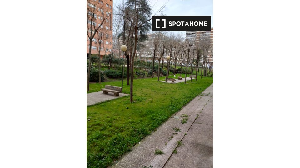 Double room Madrid, 2 beds — photo 17