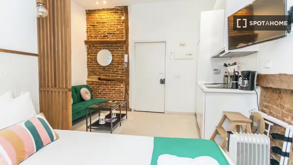 Apartment Madrid, 1 bed — photo 8