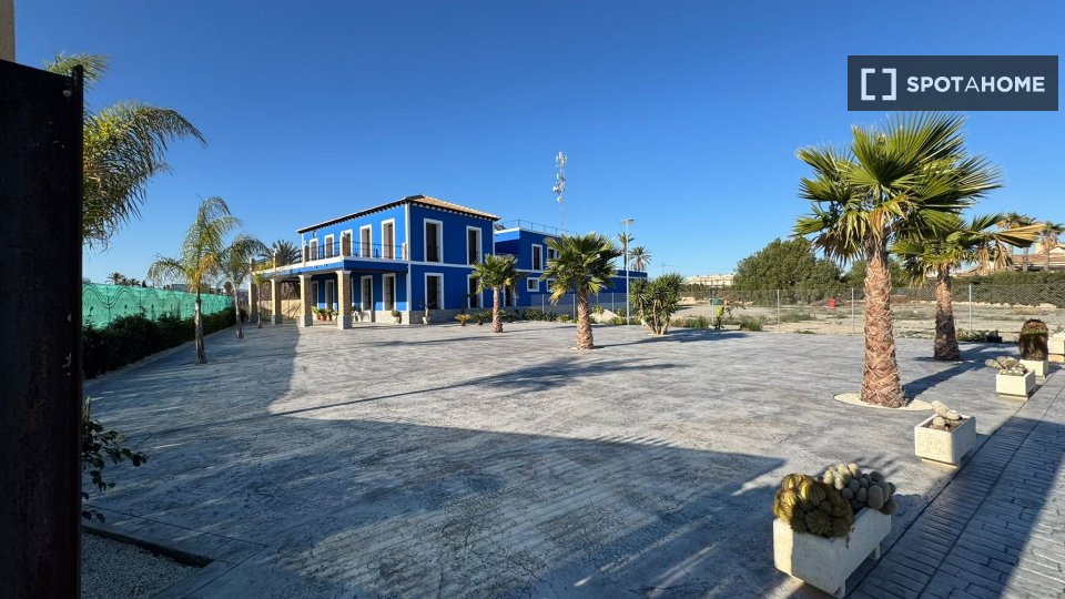 Double room Alicante, 10 beds, 650m² — photo 12