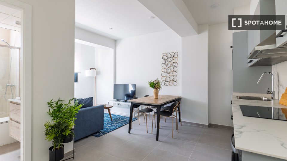 Apartment Valencia, 1 bed — photo 15