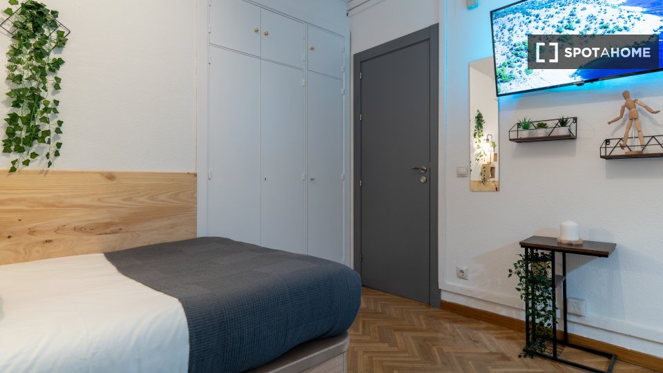 Double room Madrid, 7 beds, 160m² — photo 6