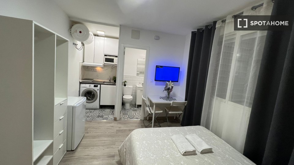 Apartment mono Madrid, 25m² — photo 9