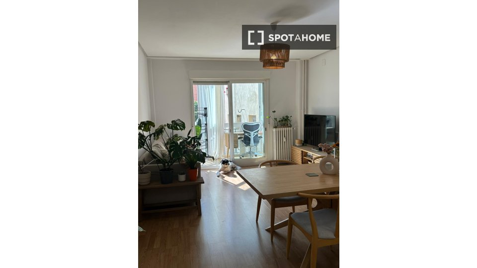 Apartment mono Madrid, 70m² — photo 3