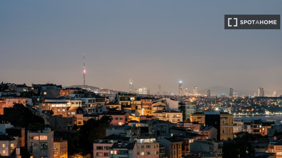 Apartment Istanbul, 1 bed — photo 9