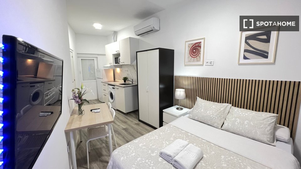 Apartment mono Madrid, 27m² — photo 26