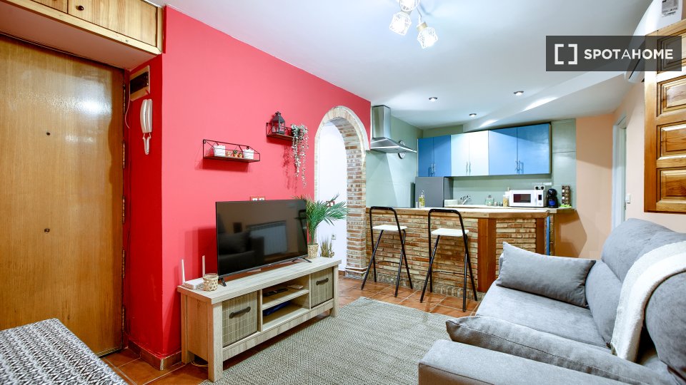 Apartment mono Madrid, 40m² — photo 3