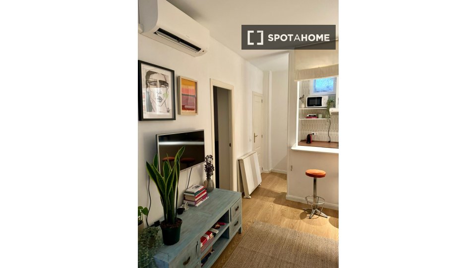 Apartment mono Madrid, 35m² — photo 8