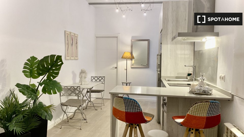 Apartment Madrid, 1 bed, 45m² — photo 1