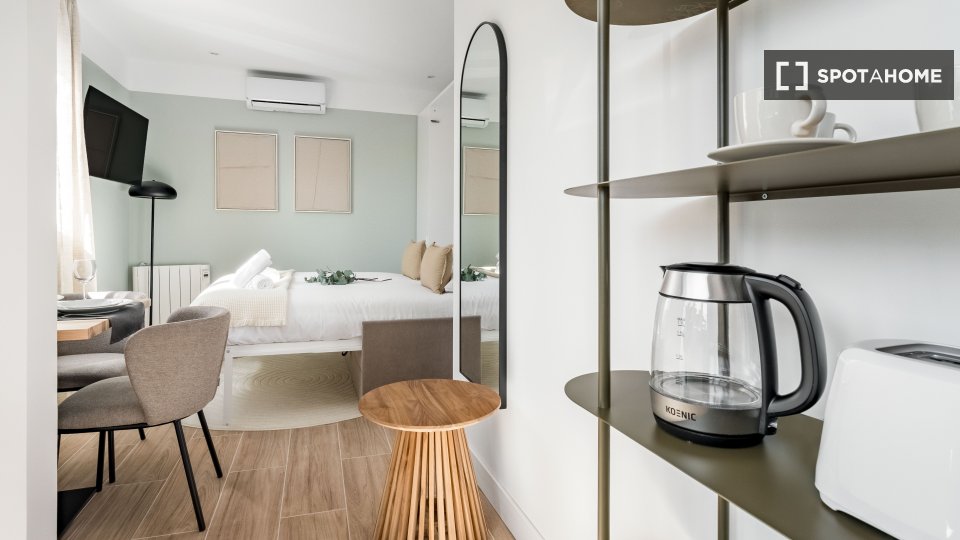 Apartment mono Madrid, 17m² — photo 4