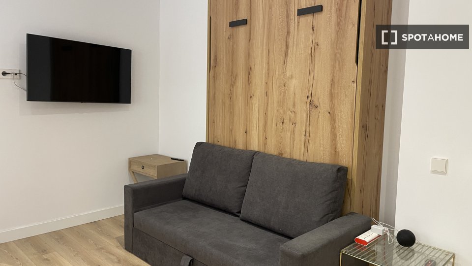 Apartment mono Madrid, 25m² — photo 3