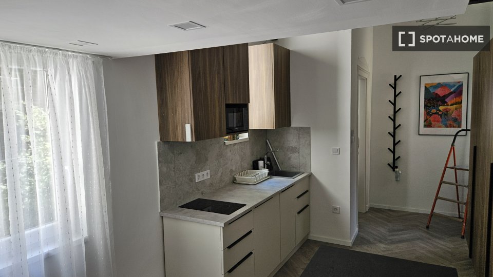 Apartment mono Budapest, 26m² — photo 1