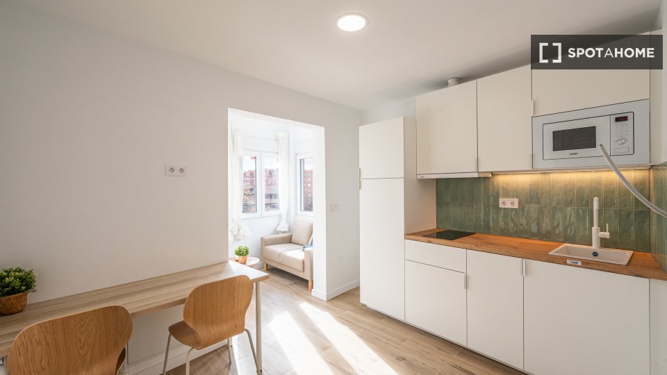 Apartment mono Madrid — photo 4