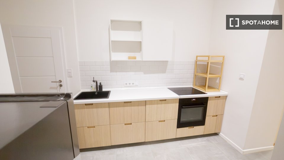 Apartment mono Budapest, 51m² — photo 9