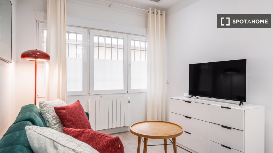 Apartment mono Madrid — photo 4