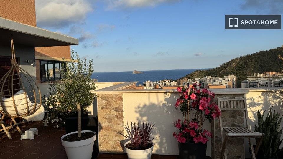 Apartment Alicante, 3 beds, 240m² — photo 14