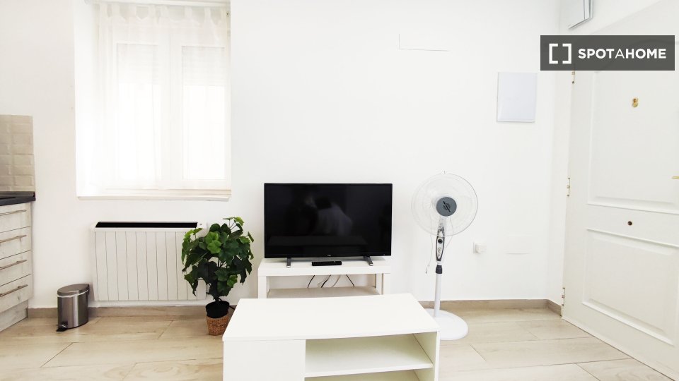 Apartment mono Madrid — photo 19