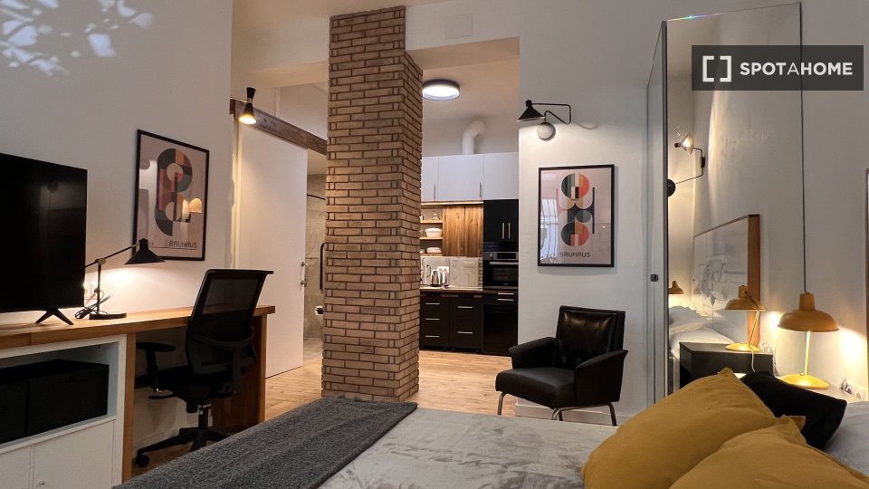 Apartment mono Madrid, 40m² — photo 6