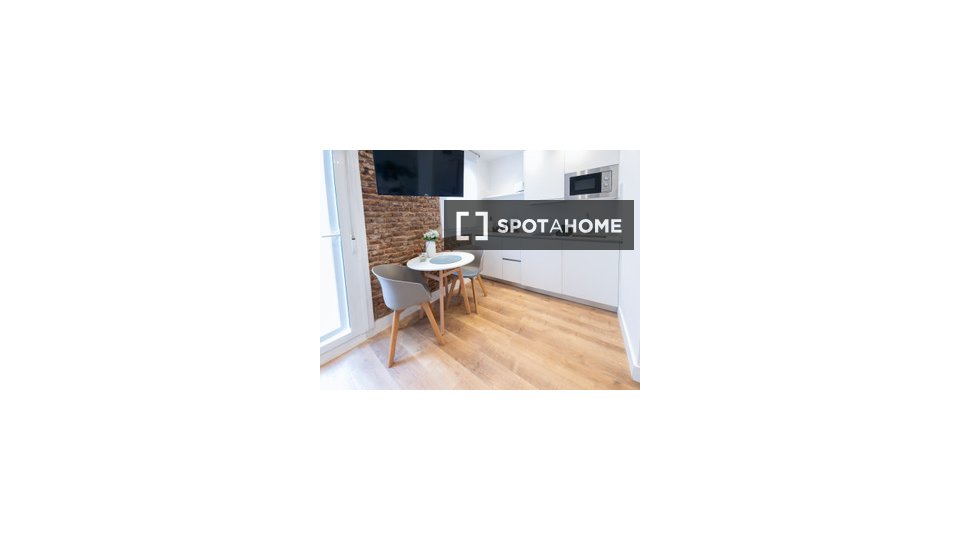 Apartment mono Madrid, 15m² — photo 1